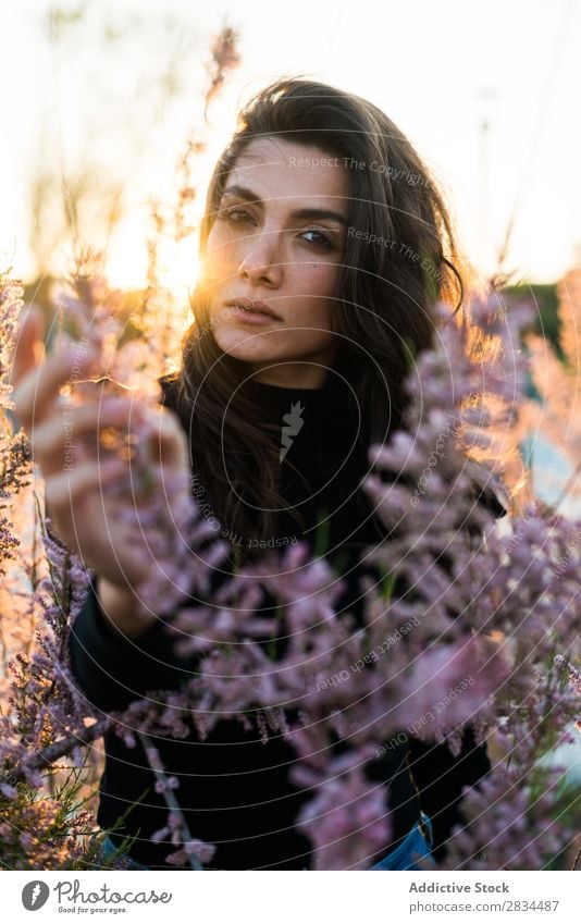 Charmante junge Frau im schwarzen Hemd, die zwischen frischen Blumen posiert. Körperhaltung Model Porträt Jugendliche romantisch schön elegant attraktiv modisch