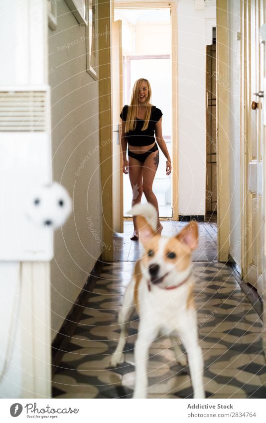 Sexy junge Frau zu Hause, die mit ihrem Hund spielt. Haustier Liebe Mensch Jugendliche Erotik Mädchen Kaukasier Glück heimwärts hübsch schön heiter Erholung