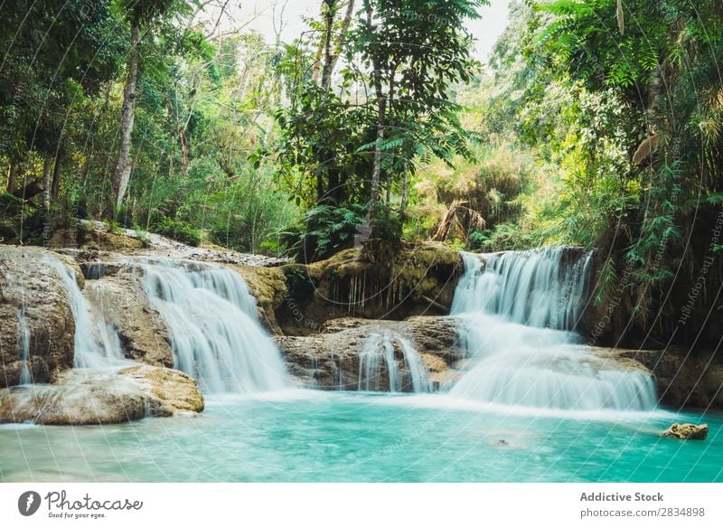 Wunderschöne kleine Wasserfälle fließend Wald Kaskade Natur Landschaft Ferien & Urlaub & Reisen Fluss Wasserfall Park grün strömen Tourismus Urwald tropisch