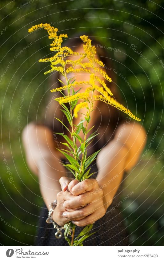 Für Dich! Feste & Feiern Mensch feminin Junge Frau Jugendliche Erwachsene Leben Arme Hand 1 18-30 Jahre Natur Pflanze Frühling Sommer Schönes Wetter Blume Gras