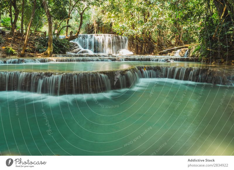 Wunderschöne kleine Wasserfälle fließend Wald Kaskade Natur Landschaft Ferien & Urlaub & Reisen Fluss Wasserfall Park grün strömen Tourismus Urwald tropisch