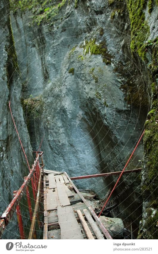 auf Abwegen Umwelt Natur Landschaft Pflanze Moos Berge u. Gebirge Schlucht Rumänien brasov Siebenbürgen Ruine Treppe kaputt Mut Enttäuschung Wege & Pfade Fußweg