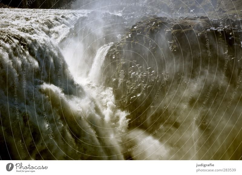 Island Umwelt Natur Landschaft Urelemente Wasser Klima Wasserfall Dettifoss natürlich Kraft Fluss fließen Rauschen Farbfoto Gedeckte Farben Außenaufnahme