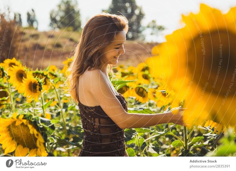 Hübsche junge Frau in Sonnenblumen. hübsch Feld Kleid Jugendliche Natur schön Sommer Fröhlichkeit gelb Porträt heiter Beautyfotografie Landschaft Lächeln Blume