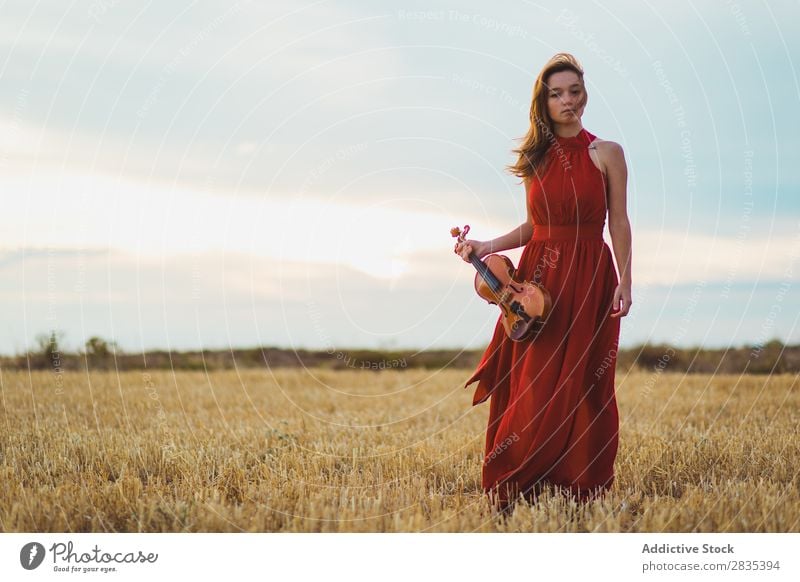 Hübsche Frau mit Geige auf dem Feld Musik Musiker Kunst Geiger Klassik Instrument schön klassisch Musical Spieler Leistung hübsch Kleid Jugendliche Natur Sommer