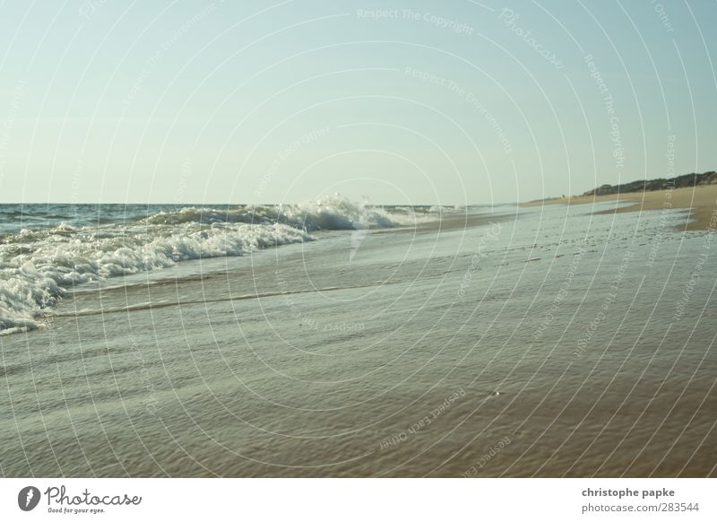 Einfach Meer Ferien & Urlaub & Reisen Sommerurlaub Wellen Wolkenloser Himmel Küste Strand Atlantik Farbfoto Außenaufnahme Menschenleer Textfreiraum oben Tag