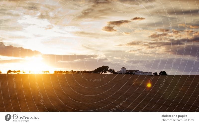 Spanischer Sonnenuntergang Ferien & Urlaub & Reisen Sommer Sommerurlaub Landwirtschaft Forstwirtschaft Himmel Sonnenaufgang Schönes Wetter Baum Feld Dorf Haus