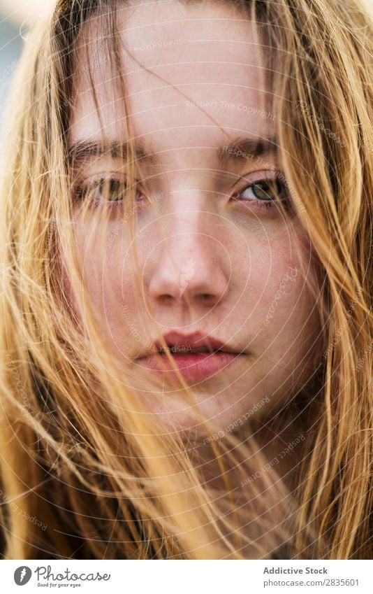 Gesicht des hübschen Mädchens Frau Porträt Jugendliche schön Blick in die Kamera fliegen Behaarung träumen Fürsorge besinnlich Nahaufnahme Beautyfotografie