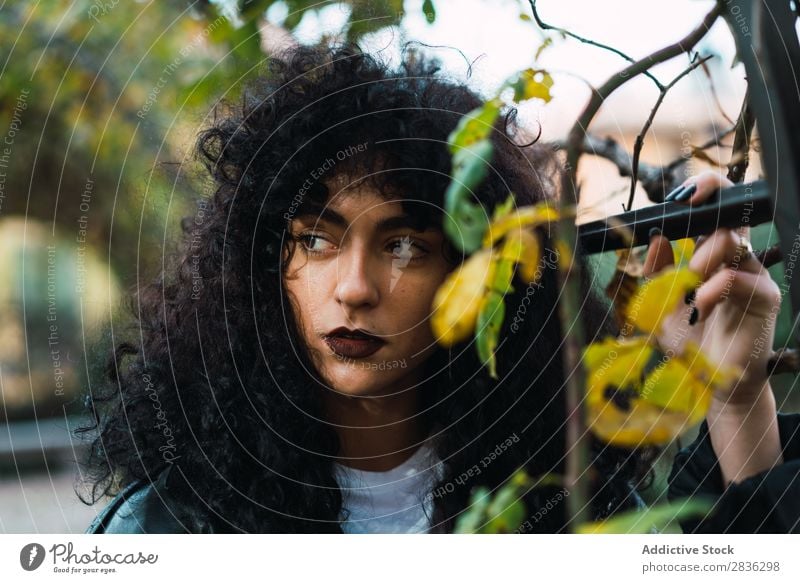 Junge lockige Frau im Park attraktiv Großstadt modisch brünett Herbst Blatt Jacke Mode Jugendliche schön hübsch Straße Model Stil Behaarung Beautyfotografie