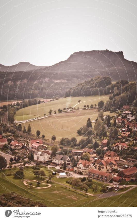 Elbprovinz Umwelt Natur Landschaft Pflanze Park Wiese Feld Berge u. Gebirge Sachsen Elbe Elbufer Bad Schandau Sächsische Schweiz Bundesadler Reisefotografie