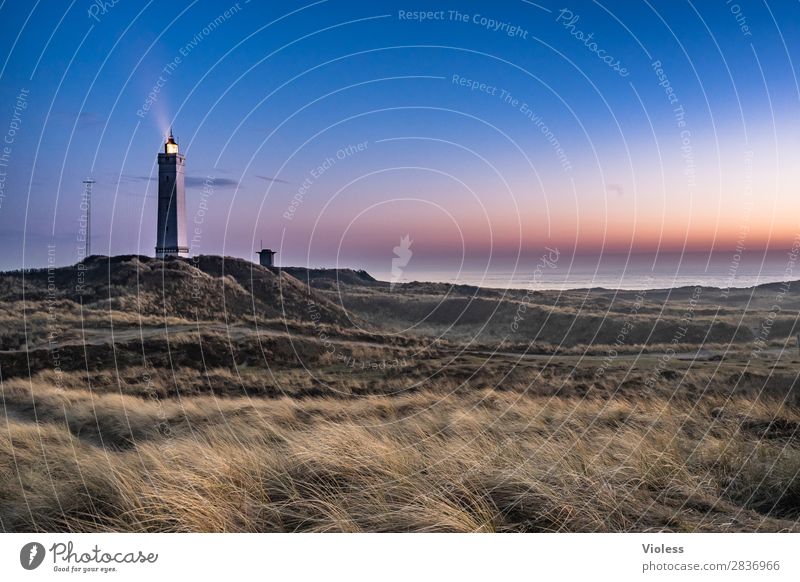 blavandshuk fyr lighthouse IIII Leuchtturm Blavands Huk Blavands Fyr Dänemark Düne Stranddüne Dünengras Jütland Lighthouse Fyrkat Nordsee Bunker Sonnenuntergang