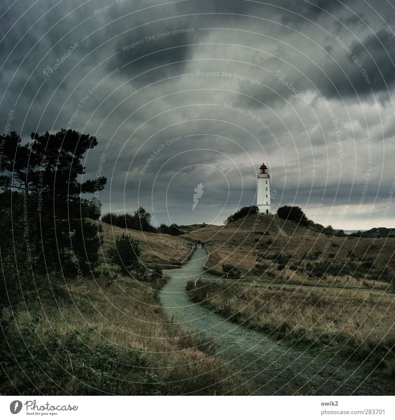 Hiddensee Menschengruppe Umwelt Natur Landschaft Pflanze Himmel Gewitterwolken Horizont Klima Wetter Schönes Wetter Wind Baum Gras Sträucher Wiese Hügel Ostsee