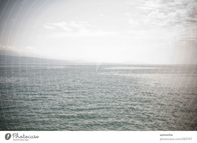 Horizont Natur Wasser Wellen Küste Seeufer Strand Meer Schwimmen & Baden Ferien & Urlaub & Reisen nass Genfer See Bodensee Wasseroberfläche Wolken Wolkenhimmel