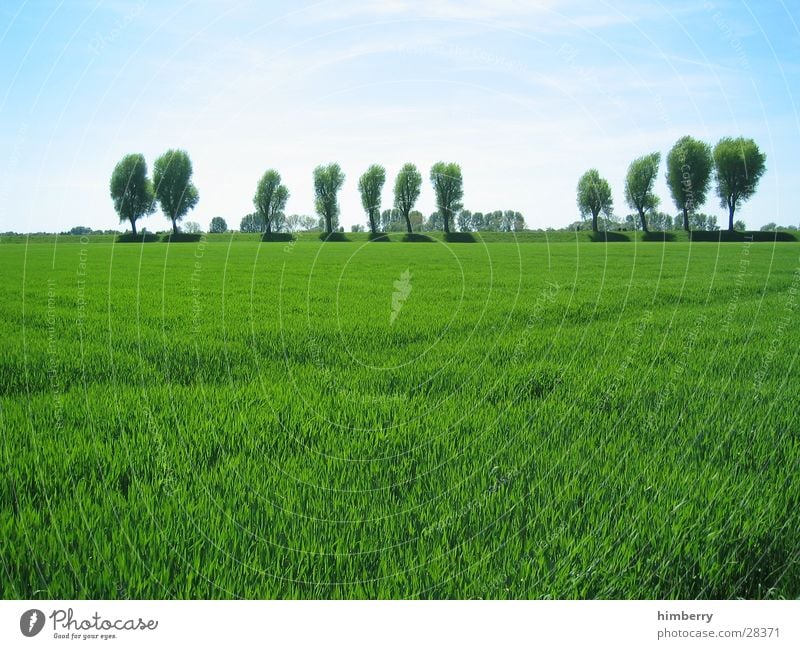 grüne welle Düsseldorf Rhein Küste Wiese Sommer Baum Natur Landschaft Gras Feld Himmel Landwirtschaft Bioprodukte Biologische Landwirtschaft ökologisch Frühling