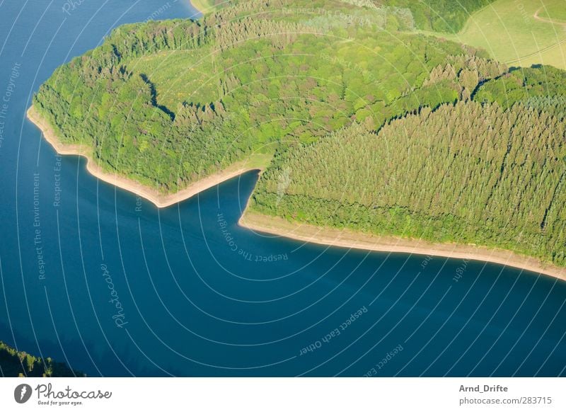 Spalte Ausflug Ferne Freiheit Sommer Umwelt Natur Landschaft Pflanze Wasser Schönes Wetter Baum Wald Seeufer fliegen blau grün Perspektive Stausee Farbfoto