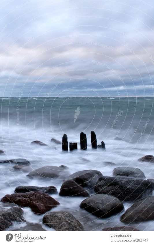 wilde Küste Umwelt Natur Landschaft Urelemente Luft Wasser Himmel Wolken Herbst schlechtes Wetter Wind Wellen Strand Ostsee Meer Stein Holz blau grau Farbfoto