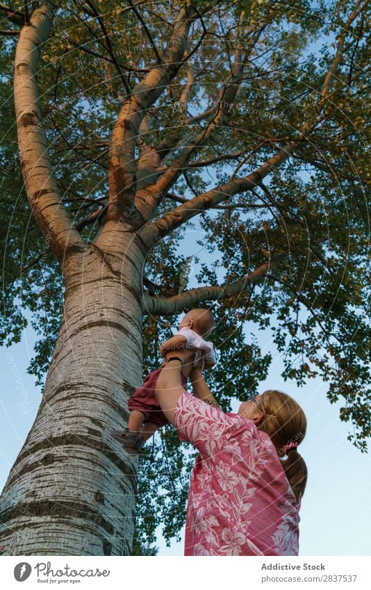 Frau zeigt dem Kind den Baum Mutter Park zeigen Familie & Verwandtschaft Glück Mensch Fröhlichkeit Sommer Lifestyle Liebe Eltern Natur Jugendliche Freude