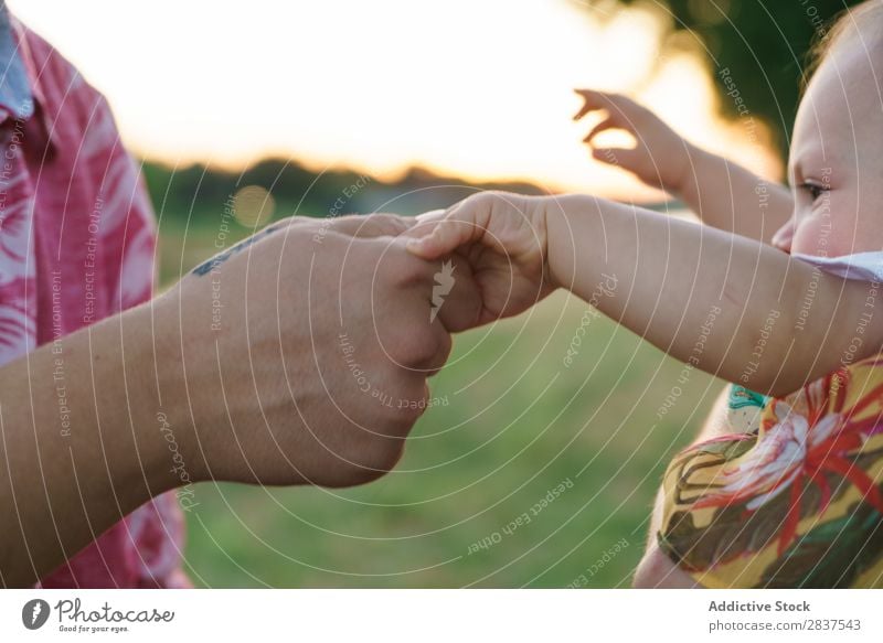 Mutter und Kind halten Händchen Park Rasen grün Sonnenstrahlen Familie & Verwandtschaft Glück Mensch Frau Fröhlichkeit Sommer Lifestyle Liebe Eltern Natur