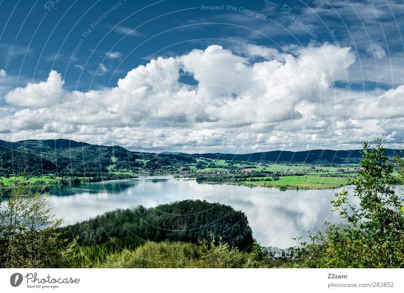 Kochelsee Natur Landschaft Himmel Wolken Sommer Schönes Wetter Baum Berge u. Gebirge See Ferne kalt natürlich Erholung Horizont Idylle nachhaltig Perspektive