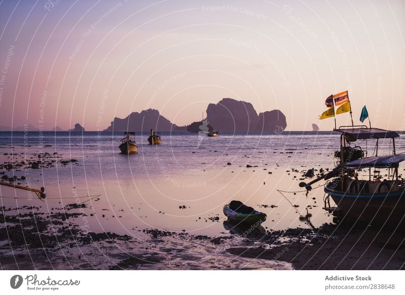 Kleine Boote, die im Meer segeln Wasserfahrzeug Gefäße Küste Insel Abend klein nautisch blau grün Verkehr Ferien & Urlaub & Reisen marin Strand Natur Hafen groß