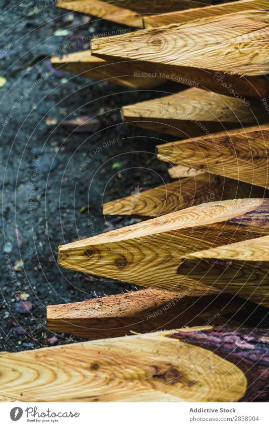 Große geschliffene Stämme Totholz Stapel Nutzholz angespitzt Bleistift riesig groß Holz Material natürlich Anhäufung Natur Baum geschnitten Rüssel Wald