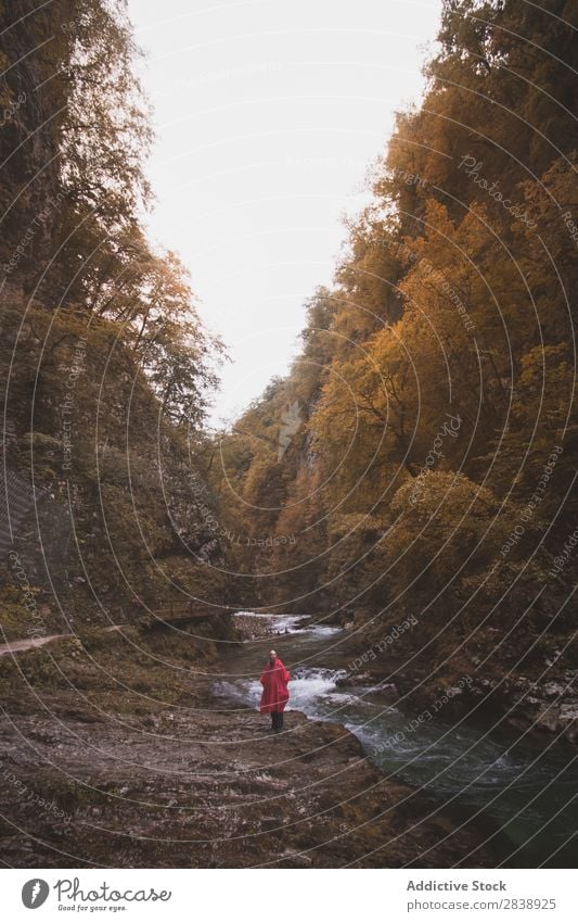 Mann, der am Fluss im Wald spazieren geht. Berge u. Gebirge Herbst laufen Tourist Ferien & Urlaub & Reisen Mensch Wasser Landschaft Natur schön Farbe mehrfarbig