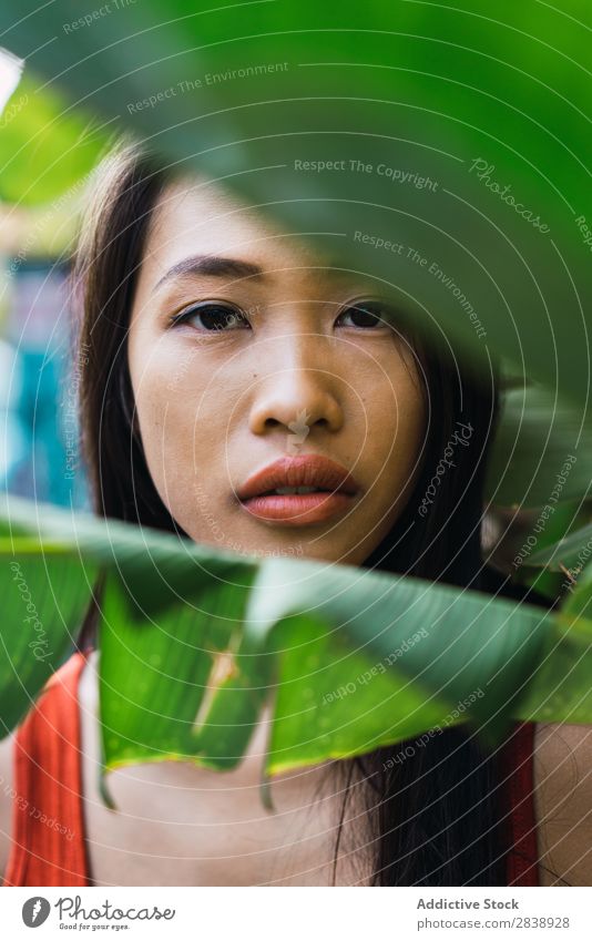 Fröhliche Frau, die auf der Straße posiert. hübsch asiatisch Jugendliche heiter Glück Freude grün Stadt schön Porträt attraktiv Beautyfotografie Mensch niedlich