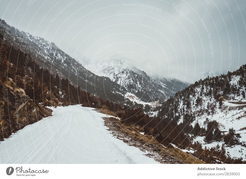 Straße im Winter Natur Hügel Berge u. Gebirge Schnee Landschaft weiß Eis Jahreszeiten kalt Ferien & Urlaub & Reisen Weg Wald Frost frieren Wetter ländlich