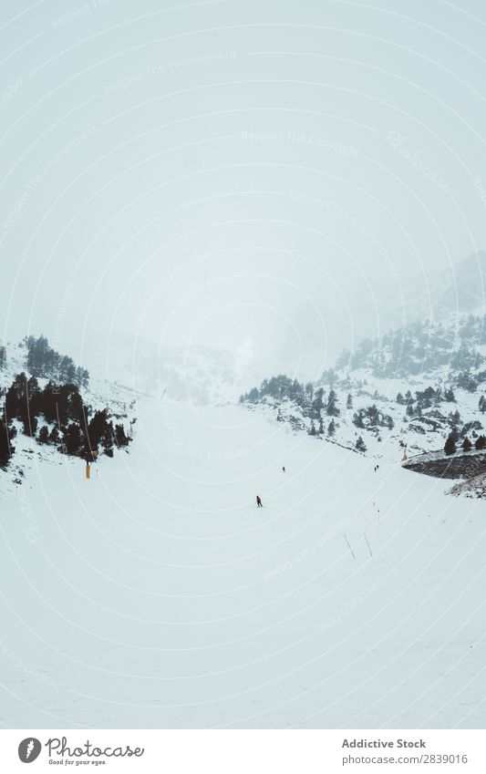 Snowboard-Touristen auf dem Snowboard Mensch Reiten Sport Winter Hügel Berge u. Gebirge Schnee Landschaft Natur weiß Eis Jahreszeiten kalt