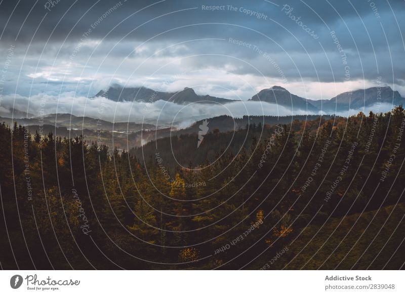 Wald- und Berglandschaft Natur Herbst Aussicht Hügel Berge u. Gebirge ländlich Landschaft Rüssel Jahreszeiten Park schön mehrfarbig natürlich Blatt Umwelt