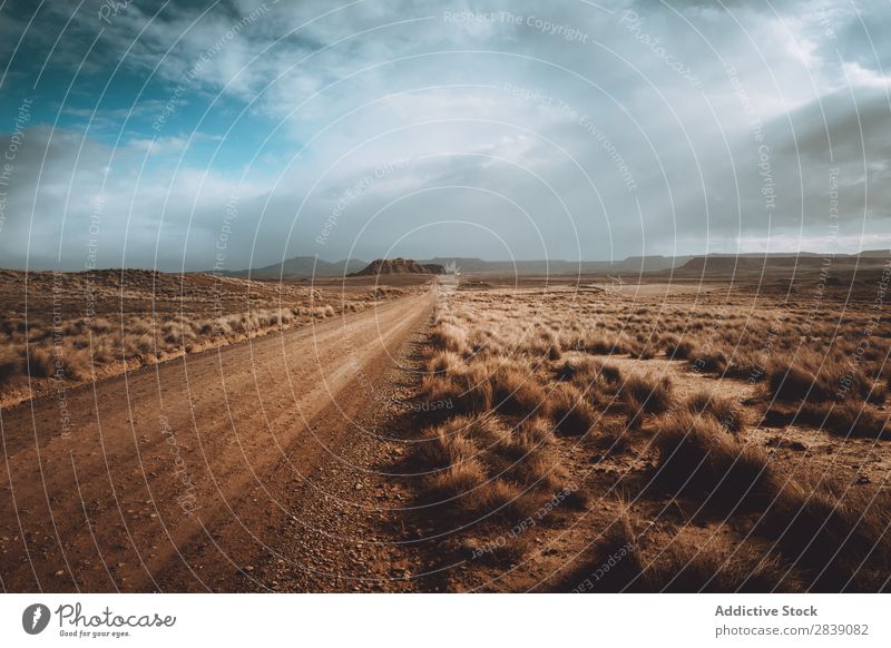 Trockene Straße bei bewölktem Himmel Natur regenarm Landschaft Perspektive Ferien & Urlaub & Reisen Wüste Landen Gras Sand Boden Umwelt gelb Stein Wildnis schön