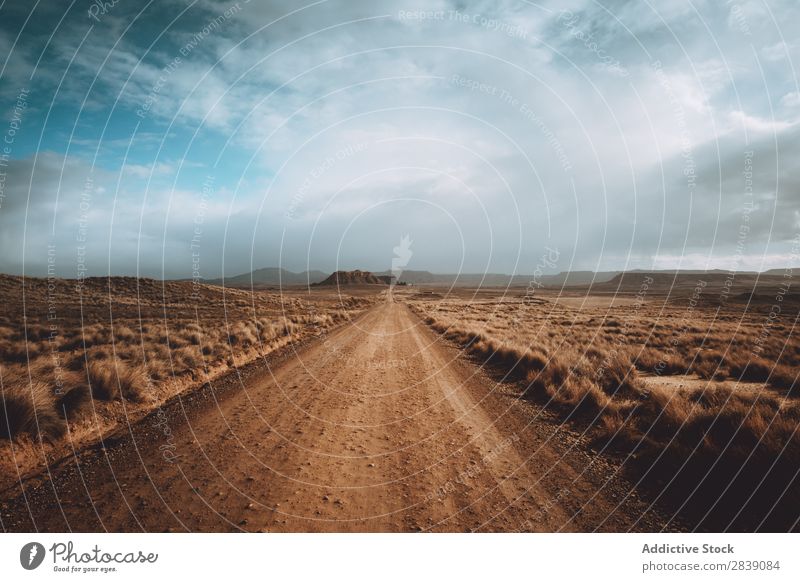 Trockene Straße bei bewölktem Himmel Natur regenarm Landschaft Perspektive Ferien & Urlaub & Reisen Wüste Landen Gras Sand Boden Umwelt gelb Stein Wildnis schön