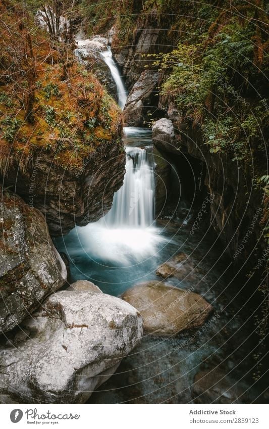 Schlucht mit Wasserstrahl in Felsen strömen Kakueta Natur Landschaft fließen Wildnis natürlich Ferien & Urlaub & Reisen Park wild Tal Kaskade Wald Wasserfall