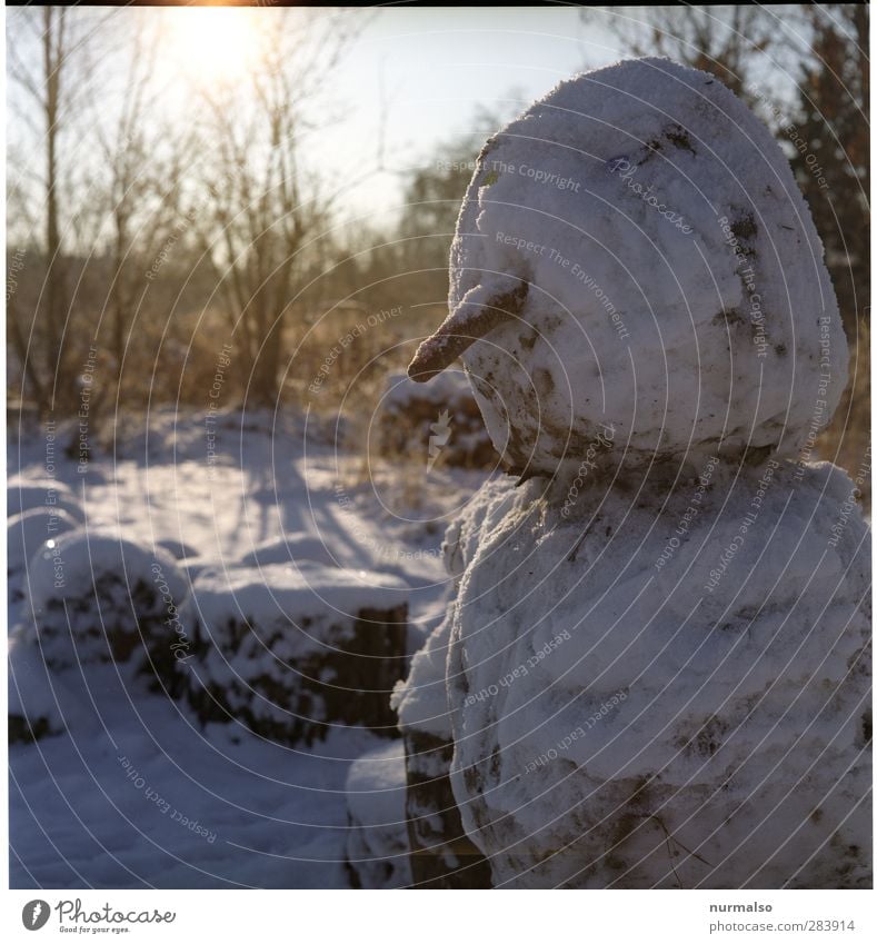 Lieber Schneemann Lifestyle Winter maskulin 1 Mensch Kunst Natur Schönes Wetter Eis Frost Park Zeichen frieren kalt lustig Originalität Stimmung Freude Kindheit