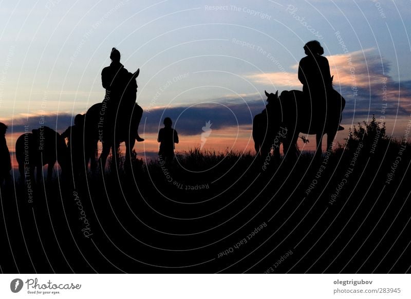 Abendfotoshooting elegant Stil schön Reiten Tourismus Junge Frau Jugendliche Erwachsene Körper 4 Mensch 18-30 Jahre Natur Landschaft Tier Himmel Herbst