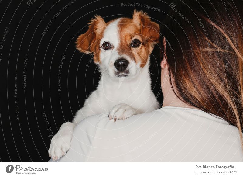 junge Frau und ihr süßer Hund. Schwarzer Hintergrund. Glück Erwachsene Freundschaft Tier Haustier Lächeln Liebe dunkel Zusammensein klein niedlich braun schwarz