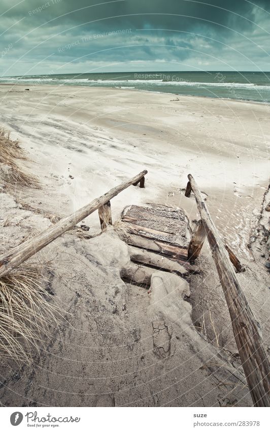 Schweigen Strand Meer Wellen Umwelt Natur Landschaft Pflanze Urelemente Sand Wasser Himmel Wolken Horizont Winter Klima Wetter Gras Küste Ostsee Treppe