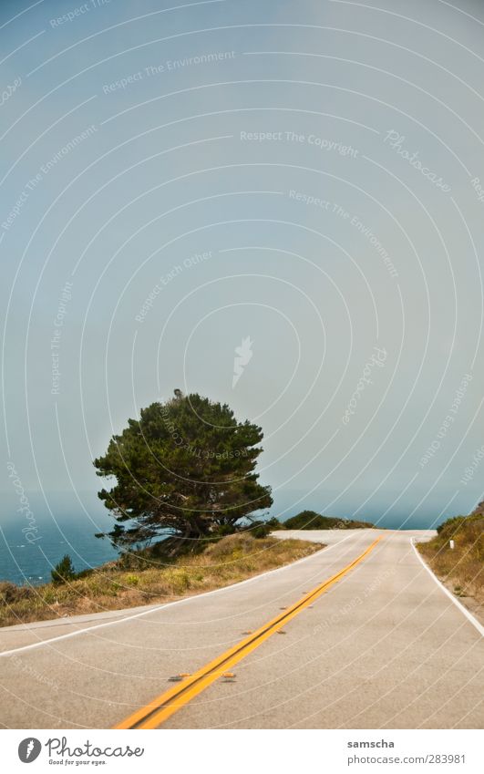 cruisen Natur Landschaft Wasser Himmel Baum Küste Meer Verkehrswege Straße fahren Ferien & Urlaub & Reisen Freiheit Straßenbelag Straßenverkehr Straßenrand