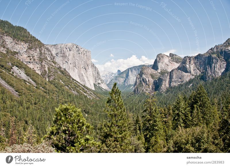 Tunnel View Natur Landschaft Pflanze Himmel Baum Wald Felsen Alpen Berge u. Gebirge Gipfel Schlucht wandern Ferne natürlich schön Abenteuer