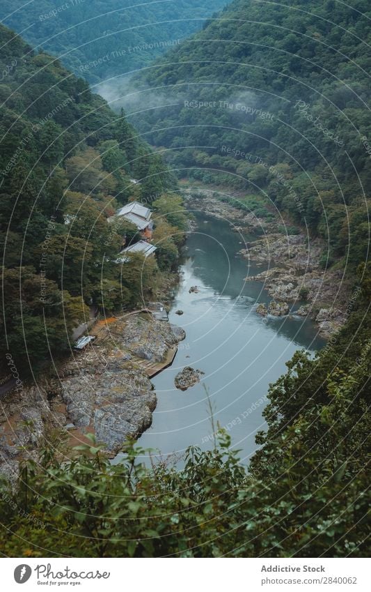 Fluss, der zwischen den Hügeln fließt Natur grün Schlucht Aussicht Berge u. Gebirge Klippe Felsen Pflanze schön natürlich Jahreszeiten frisch strömen fließen