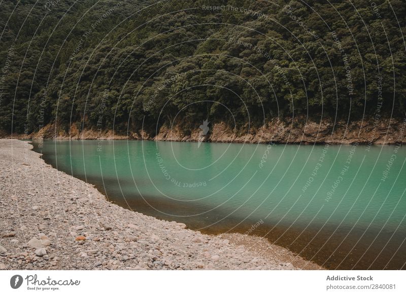 Blauer See am Hügel mit grünem Wald blau Küste Natur Aussicht Berge u. Gebirge Klippe Felsen Pflanze schön natürlich Jahreszeiten frisch Umwelt mehrfarbig Licht