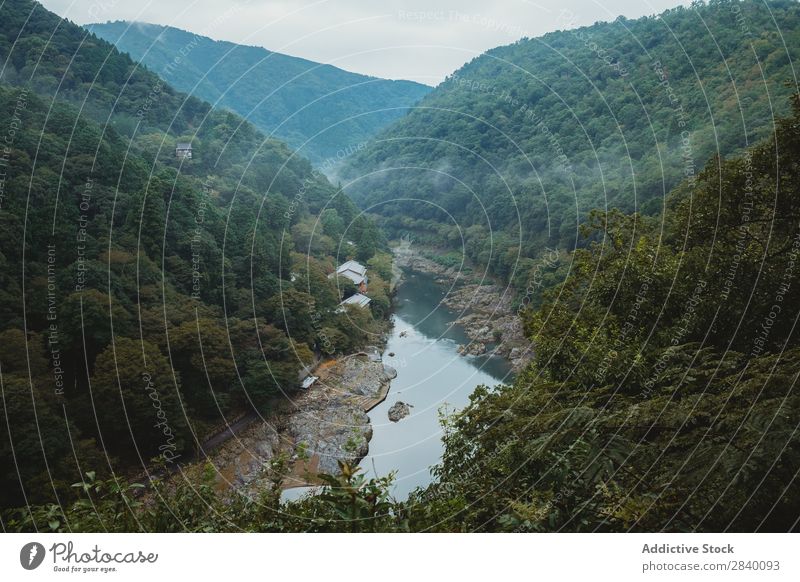 Fluss, der zwischen den Hügeln fließt Natur grün Schlucht Aussicht Berge u. Gebirge Klippe Felsen Pflanze schön natürlich Jahreszeiten frisch strömen fließen