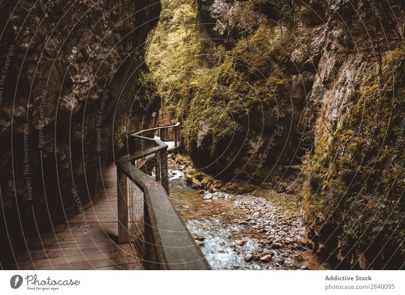 Holzsteg in der Schlucht Gang Natur grün Aussicht Geländer Berge u. Gebirge Hügel Klippe Felsen Pflanze schön natürlich Jahreszeiten frisch Umwelt mehrfarbig