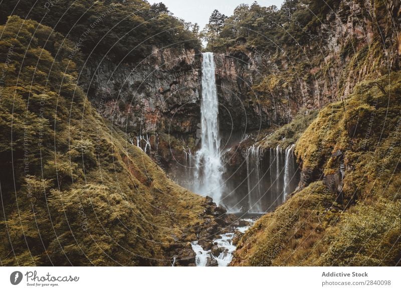 Wasserfall in grünen Bergen Natur Aussicht Berge u. Gebirge Hügel Klippe Felsen Pflanze schön natürlich Jahreszeiten frisch Umwelt Wald mehrfarbig Licht