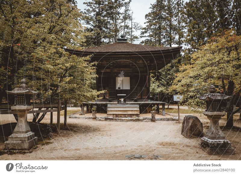 Traditionelles asiatisches Gebäude im Wald Natur grün Aussicht Pflanze schön natürlich Asien Osten Turm Orientalisch Östlich Pagode Jahreszeiten frisch Umwelt