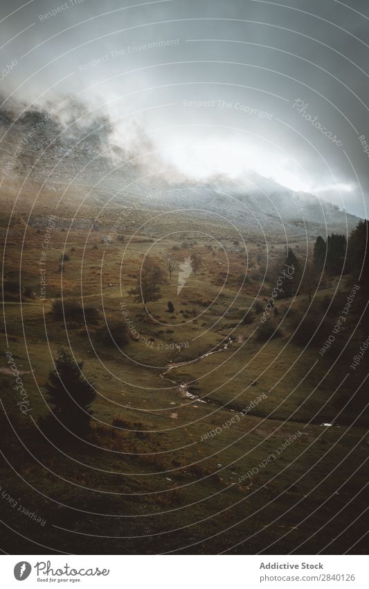 Nebliger Berg im grünen Gras Berge u. Gebirge Nebel Natur Aussicht Hügel Klippe Felsen Pflanze schön natürlich Jahreszeiten frisch Umwelt mehrfarbig Licht