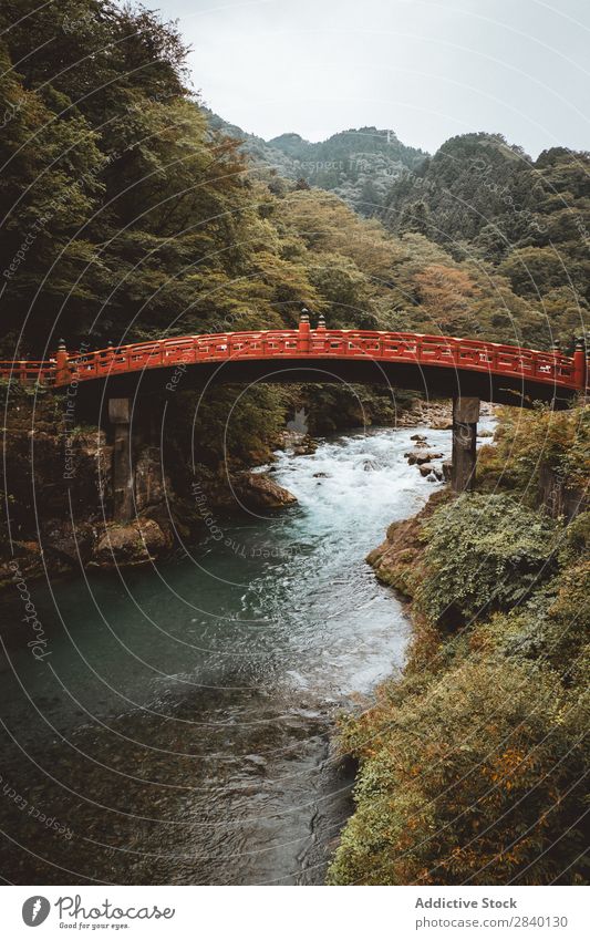 Rote Brücke über den Fluss Natur grün Aussicht rot Pflanze schön natürlich Jahreszeiten frisch Umwelt Wald mehrfarbig Licht Sonnenlicht hell Länder ländlich