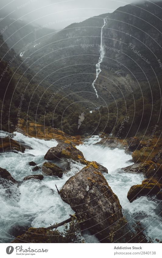 Kleiner Bergfluss Fluss Wasserfall Natur grün Aussicht Berge u. Gebirge Hügel Klippe Felsen Pflanze schön natürlich Jahreszeiten frisch Umwelt Wald mehrfarbig