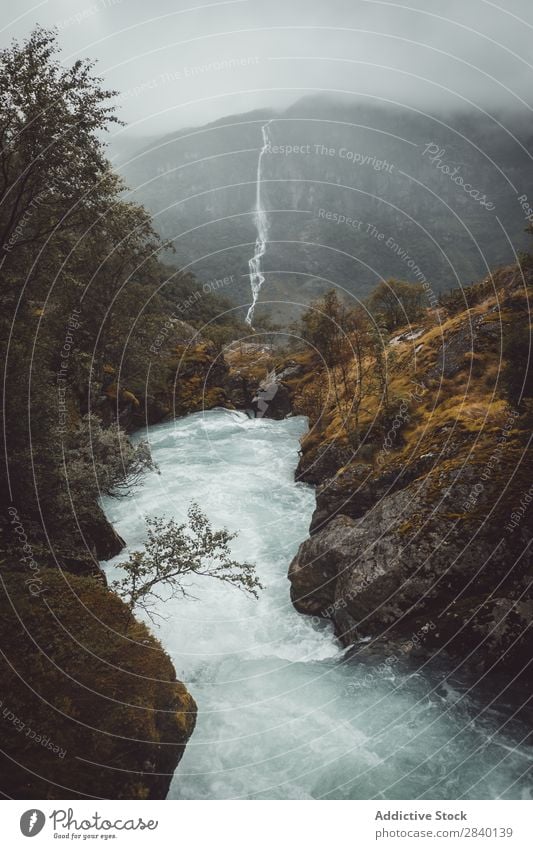 Kleiner Bergfluss Fluss Wasserfall Natur grün Aussicht Berge u. Gebirge Hügel Klippe Felsen Pflanze schön natürlich Jahreszeiten frisch Umwelt Wald mehrfarbig