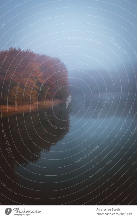 Nebliger See und Wald Nebel Natur Aussicht Berge u. Gebirge Hügel Klippe Felsen Pflanze schön natürlich Herbst Morgen Orange rot Jahreszeiten frisch Umwelt